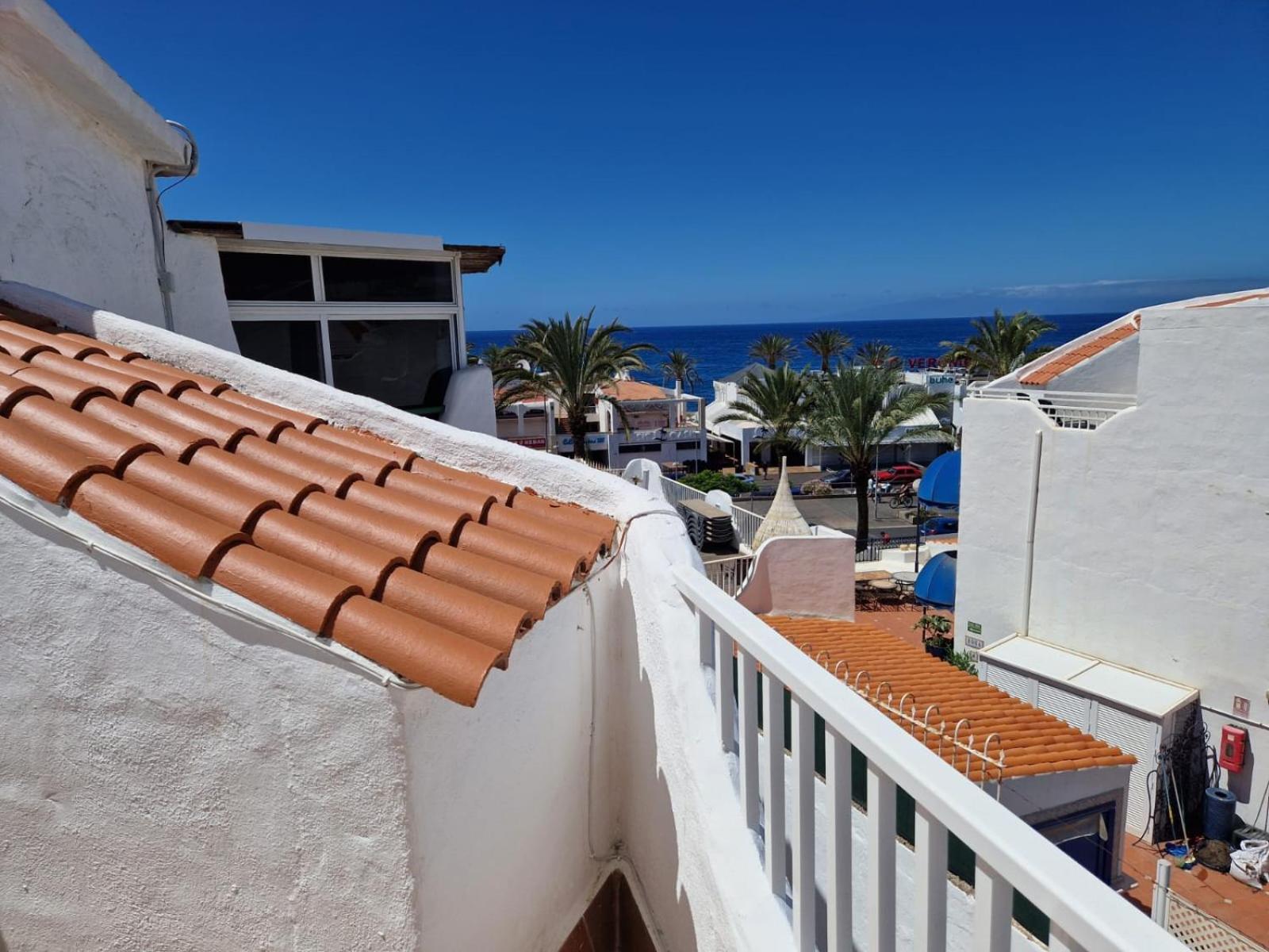 Casas Blancas Tortugas *