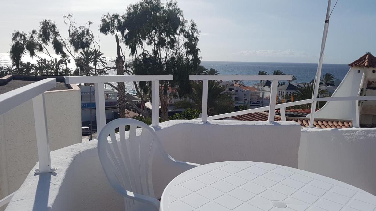 Casas Blancas Tortugas Playa de las Americas (Tenerife)